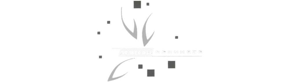 Ontwerp zonder titel (4)